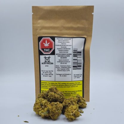Blue Collar Sativa (Blue Collar Cannabis)