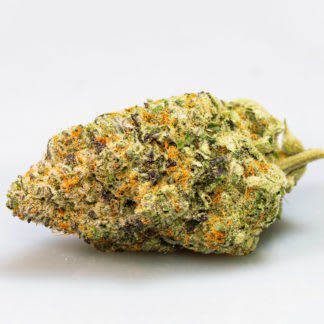 Jellysickle (EastCann)