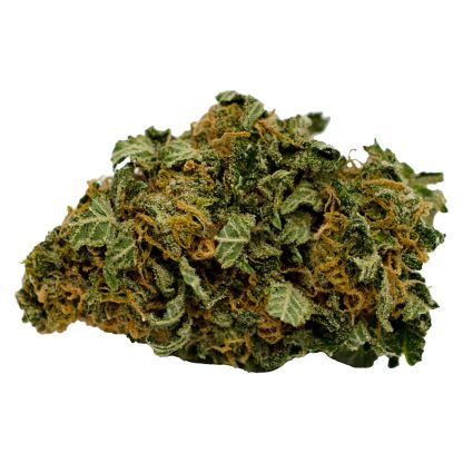 BC Grizzly (Smoke That Thunders)