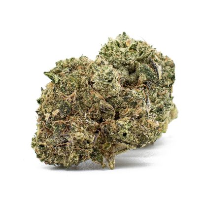 El Gordo (North 40) Pre-Roll