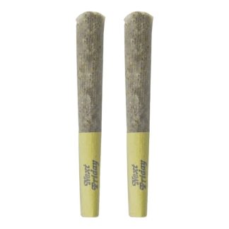 Dank Sinatra (Next Friday) Pre-Roll