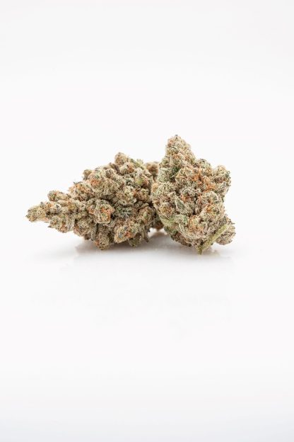 Peachy Keen (Cactus)