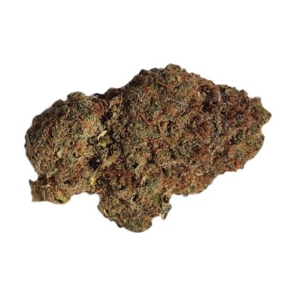 Banana Dream - 7g (Prime Bloom)