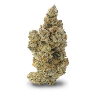 Hammock Hippy - 28g (Camper Van Cannabis)