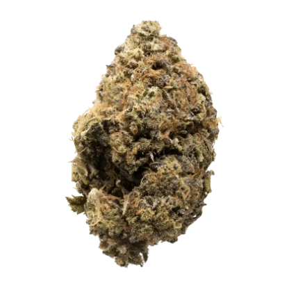 Banana Puddintain P/R - 3 x 0.5g (Battle River Bud)