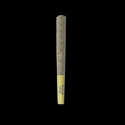 Burner Phone Special (Next Friday) Pre-Roll