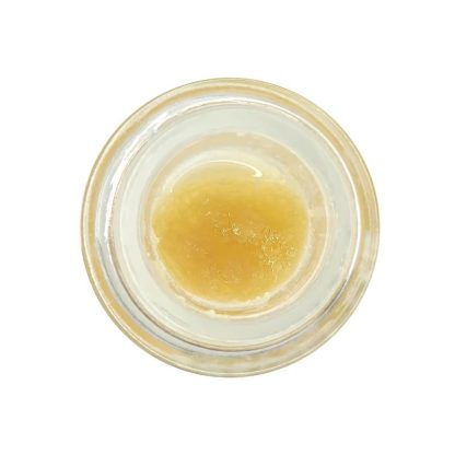 Forbidden Pie Live Resin Jar - 1g (Wildcard Extracts)