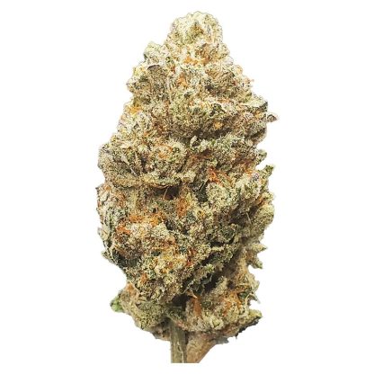 Blueberry Shizzle - 3.5g (Papa Joe's Organics)