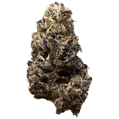 Black Truffle Glass Tip P/R - 1 x 1g (3rd Coast Genetics)