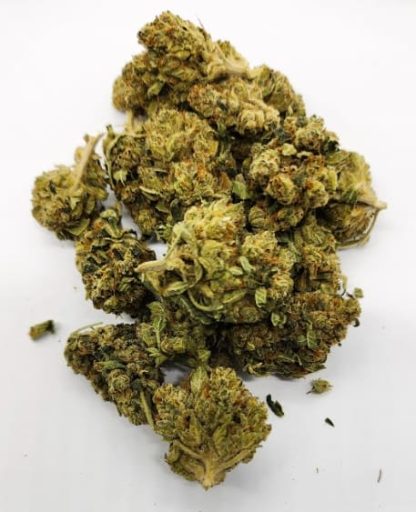 Lemon Skunk - 28g (Elevator)