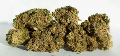 Saskatchewan Platinum - 14g (North 40)