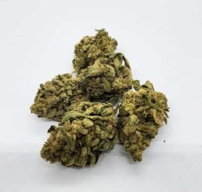 Sticky Gelato - 14g (Elevator)