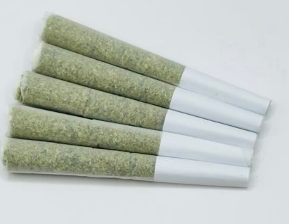 El Chivo P/R - 5 x 0.5g (Irie Craft)
