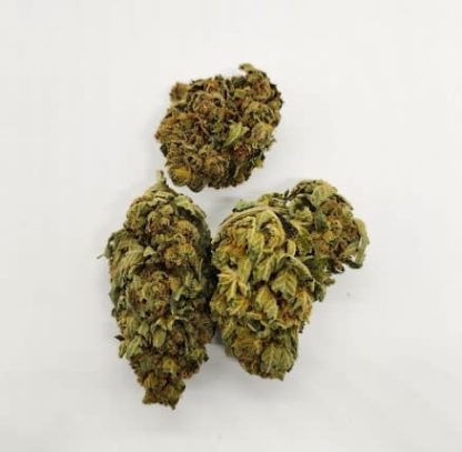 Sour Apples x Cookies - 3.5g (Elevator)