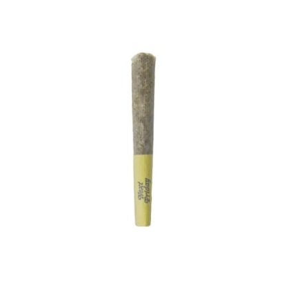 Burner Phone Special (Next Friday) Pre-Roll