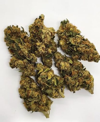 Blueberry Kush - 7g (Elevator)