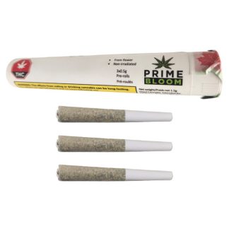 Banana Dream P/R - 3 x 0.5g (Prime Bloom)