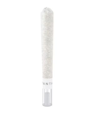 Animal Sundae Glass Tip P/R - 1 x 1g (Tantalus)
