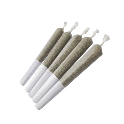 Indica P/R (Elevator Fives)