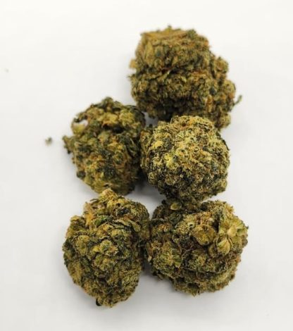 Goofiez - 7g (Elevator)