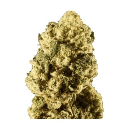 Liquid Imagination - 14g (Back Forty)