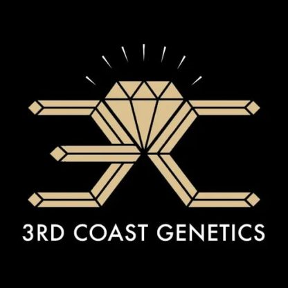 Gold Cash Gold - 7g (3rd Coast Genetics)