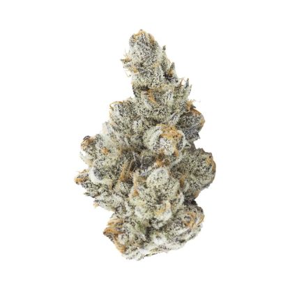 Black Truffle Glass Tip P/R - 1 x 1g (3rd Coast Genetics)