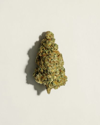 Baked Animal - 3.5g (Pure SunFarms)
