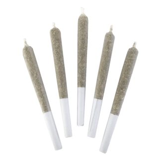 Sativa P/R (Elevator Fives)