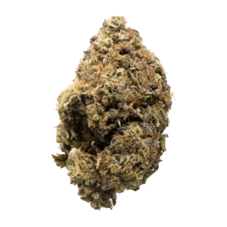 Banana Puddintain - 28g (Battle River Bud)