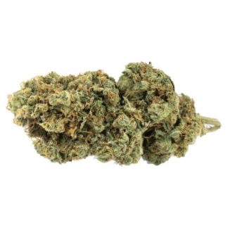 Star Struck (Msiku Legacy) Pre-Roll