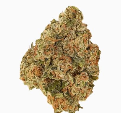 Pumpkin Spice - 28g (Good Supply)