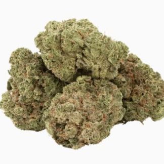 Lemonade Haze - 7g (Trailblazer)