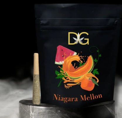 Niagra Mellon P/R - 10 x 0.5g (Dykstra Greenhouses)