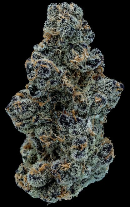 BLK MLK - 3.5g (BLK MKT)