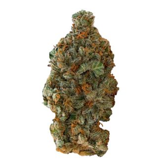 Girl Scout Cookies - 28g (Versus)