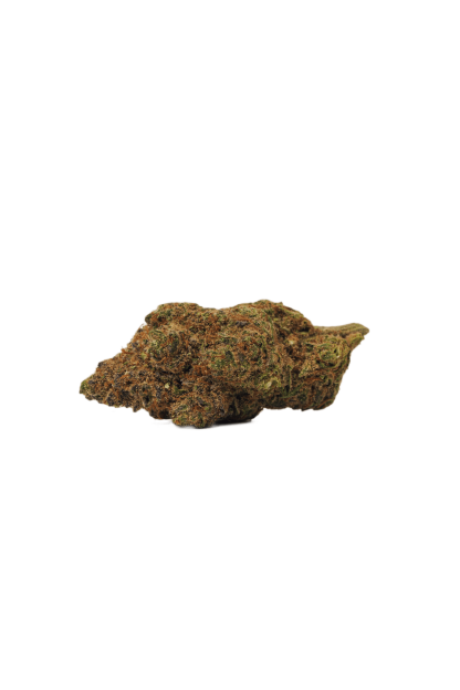 Orange Crush - 7g (Bold)