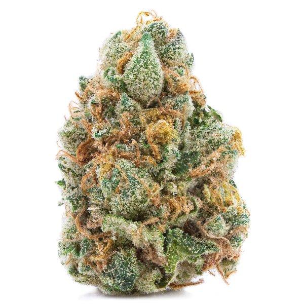 GMO Cookies (Spinach)