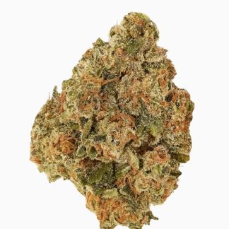 Pumpkin Spice - 28g (Good Supply)