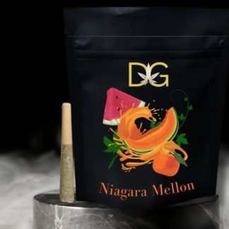 Niagra Mellon P/R - 10 x 0.5g (Dykstra Greenhouses)