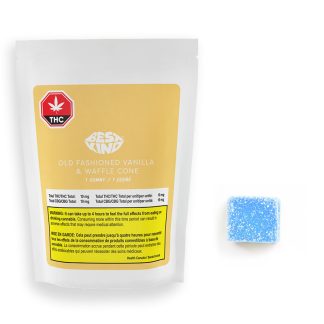 Old Fashioned Vanilla & Waffle Cone Gummy - 1 x 10mg (Best Kind)