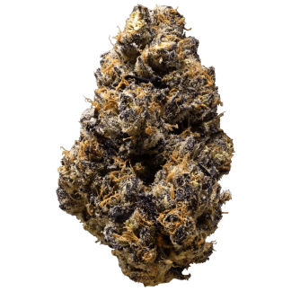 Michigan Melonz - 7g (3rd Coast Genetics)