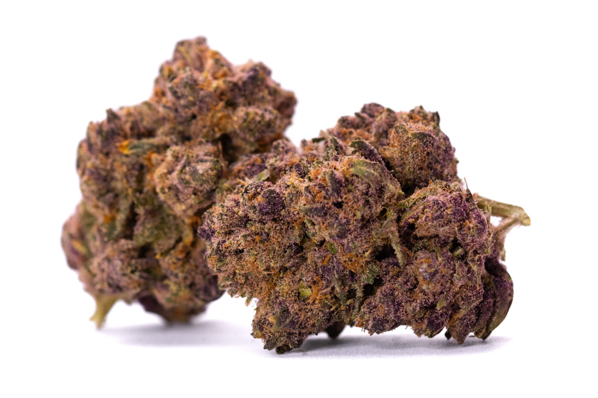 Wifi Mintz - 28g (EastCann)