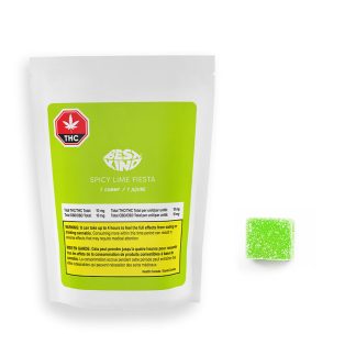 Spicy Lime Fiesta Gummy - 1 x 10mg (Best Kind)