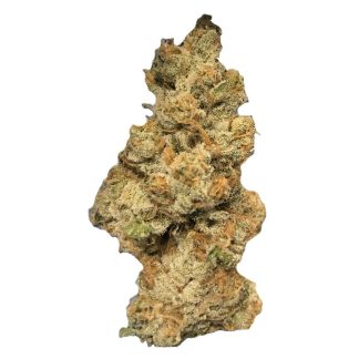 Sudz - 28g (HempCraft)