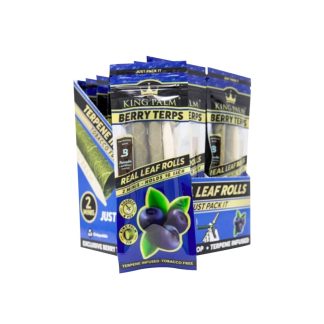 King Palm - 2 Mini - Berry