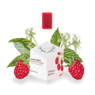 WYLD Real Fruit Raspberry Gummies - 10 x 10mg (WYLD)