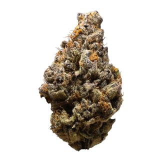 Gold Cash Gold - 7g (3rd Coast Genetics)