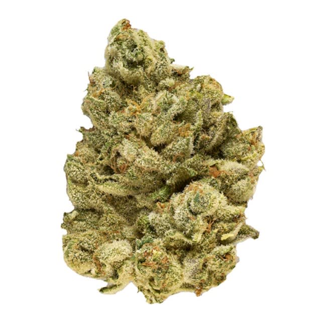 EmergenZ - 14g (Broken Coast)