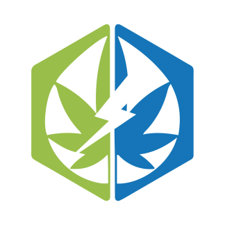 Aged Temple Ball Hash - 1.88g (Electric Lettuce)